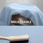 Collar Casual T-shirt